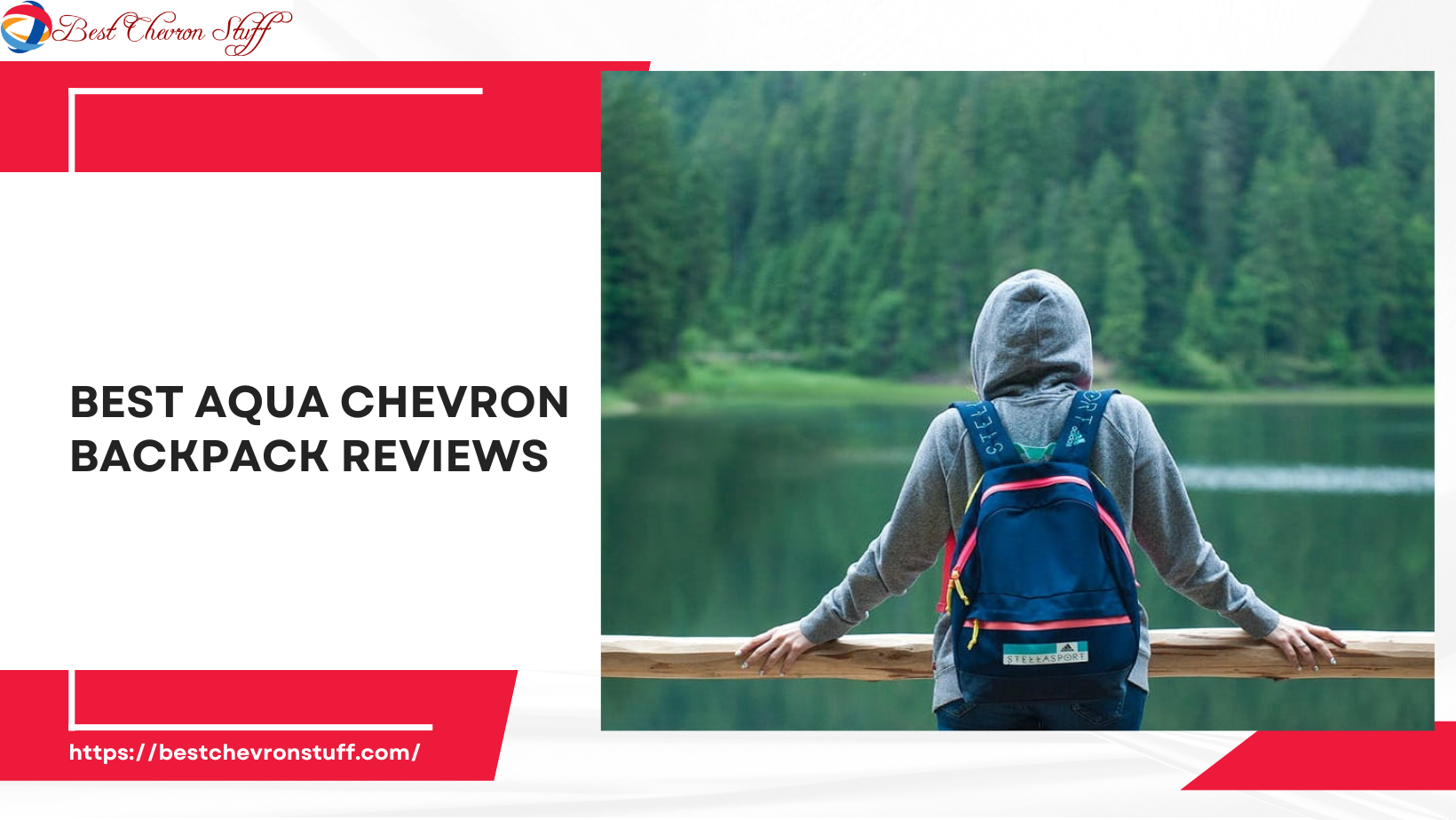 Best Aqua Chevron Backpack Reviews