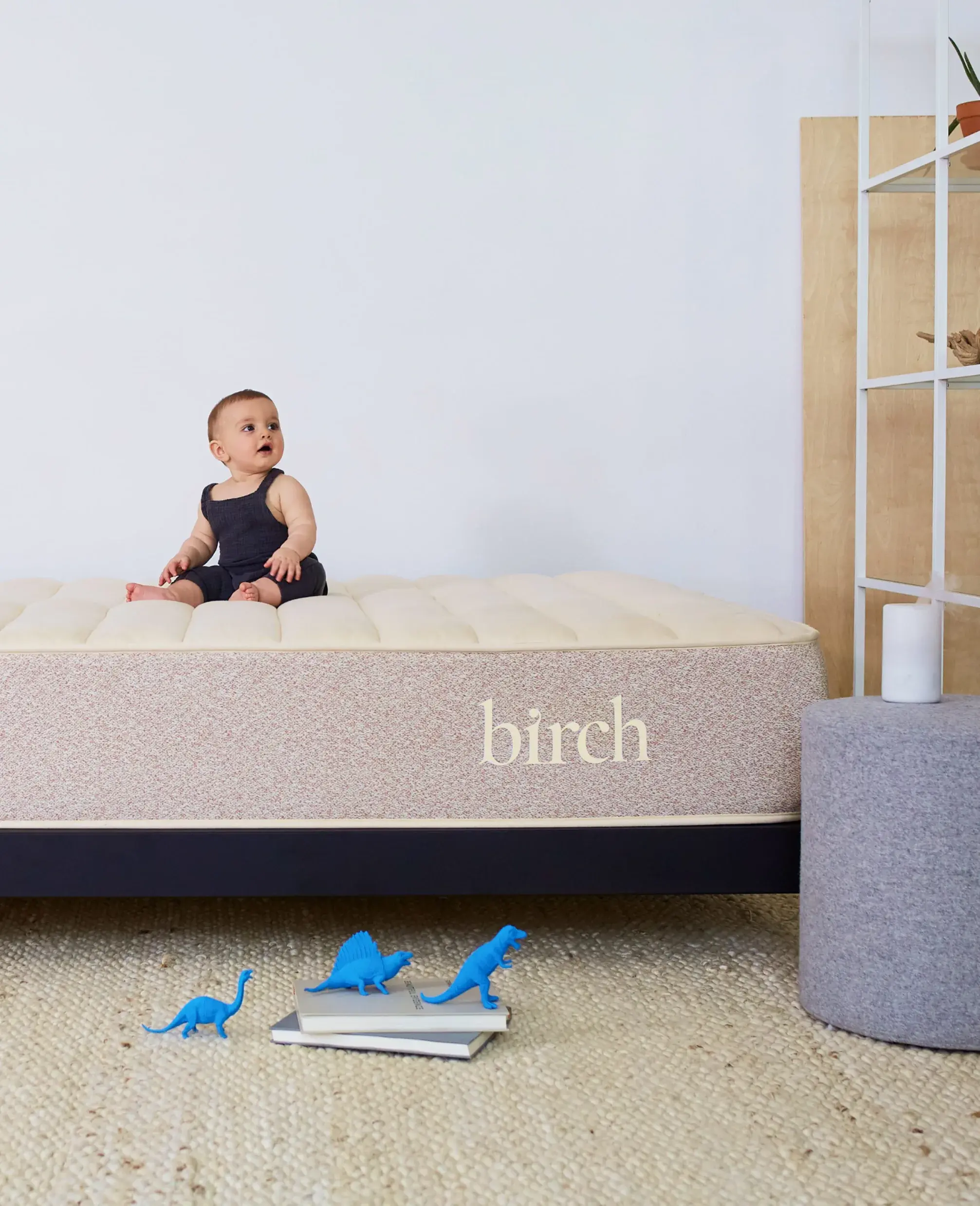 Birch Organic Mattress